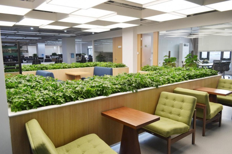 黃浦辦公設(shè)計(jì)裝修-綠色環(huán)?；ヂ?lián)網(wǎng)辦公室-第3張圖片-上海古都建筑設(shè)計(jì)集團(tuán)