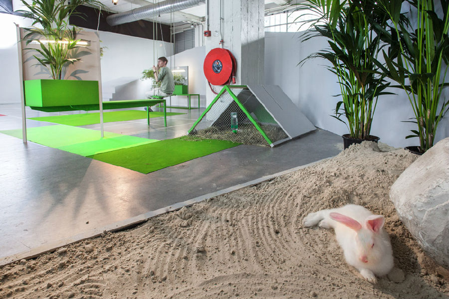 徐匯區(qū)120平綠調休閑辦公室裝修設計-第5張圖片-上海古都建筑設計集團