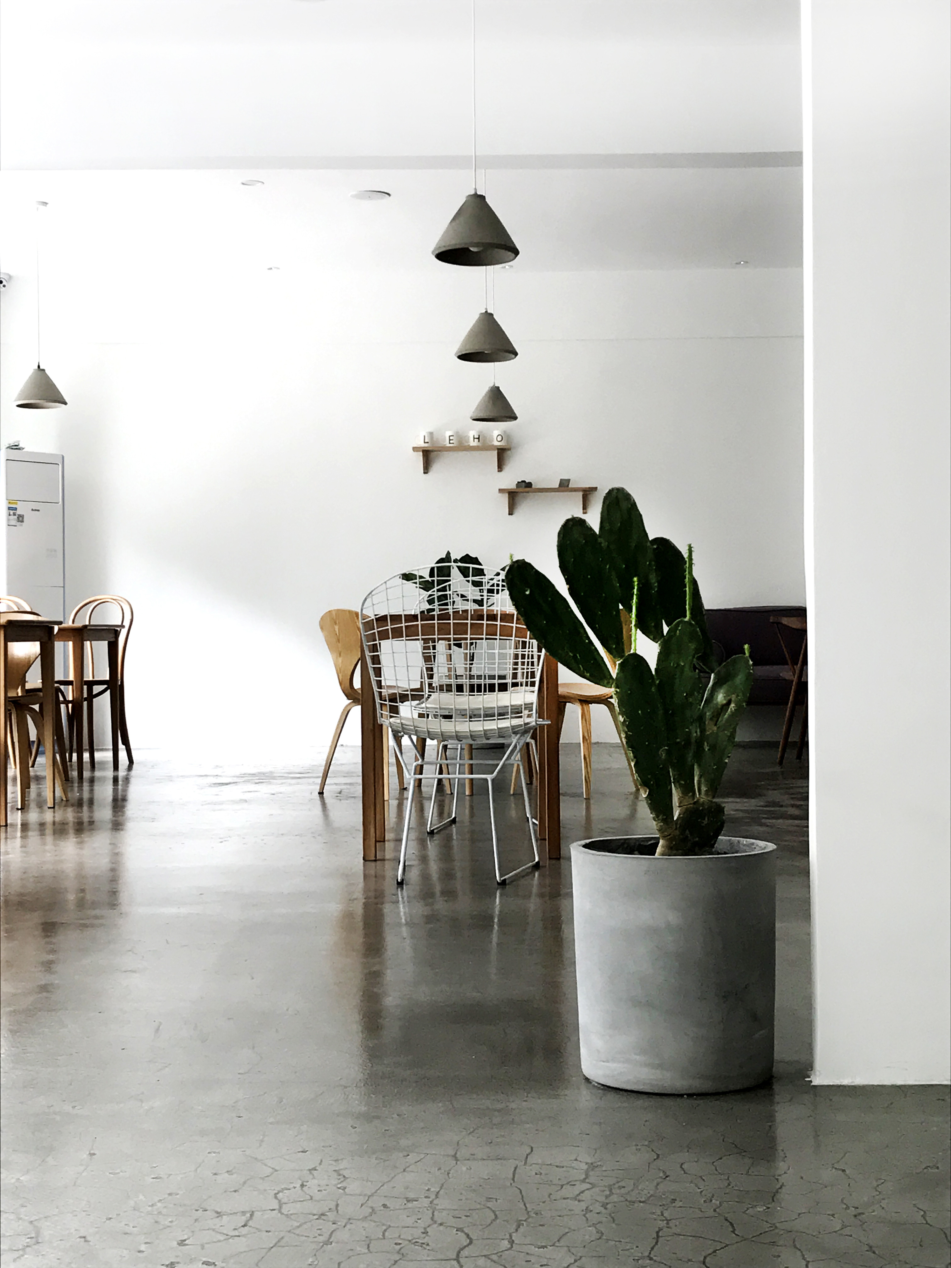 黃浦區(qū)簡約風格貓咖廳裝修設計-第3張圖片-上海古都建筑設計集團