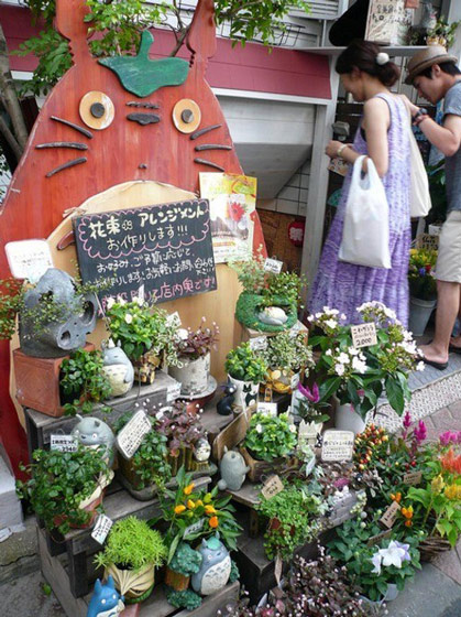 日式風(fēng)格花店裝修設(shè)計-第6張圖片-上海古都建筑設(shè)計集團 日式風(fēng)格花店裝修設(shè)計-第6張圖片-上海古都建筑設(shè)計集團