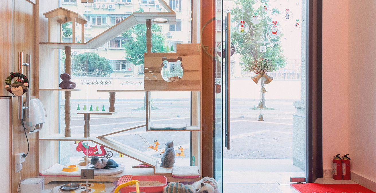 青浦區(qū)小清新寵物店裝修設計-第1張圖片-上海古都建筑設計集團